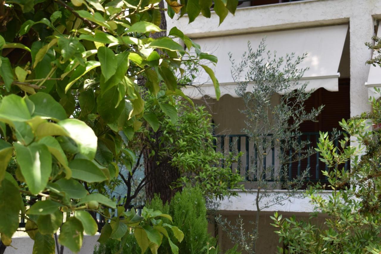 Alexander Apart otel Pefkochori Dış mekan fotoğraf