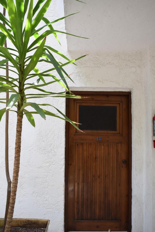 Alexander Apart otel Pefkochori Dış mekan fotoğraf