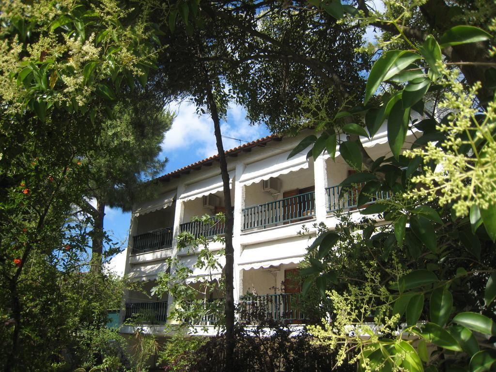 Alexander Apart otel Pefkochori Dış mekan fotoğraf